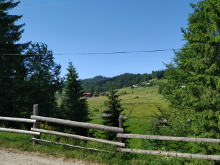prodam-zemelnu-dilianku-v-karpatax