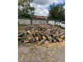 raspil-drov-kopka-iam-small-3