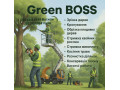 rozcistka-ta-ozelenennia-dilianki-kosinnia-traviobrizka-derev-lviv-ta-lvivska-oblast-small-0