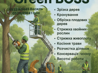 rozcistka-ta-ozelenennia-dilianki-kosinnia-traviobrizka-derev-lviv-ta-lvivska-oblast