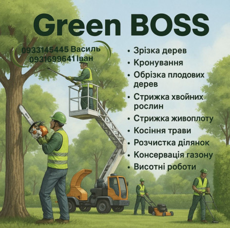 rozcistka-ta-ozelenennia-dilianki-kosinnia-traviobrizka-derev-lviv-ta-lvivska-oblast-big-0