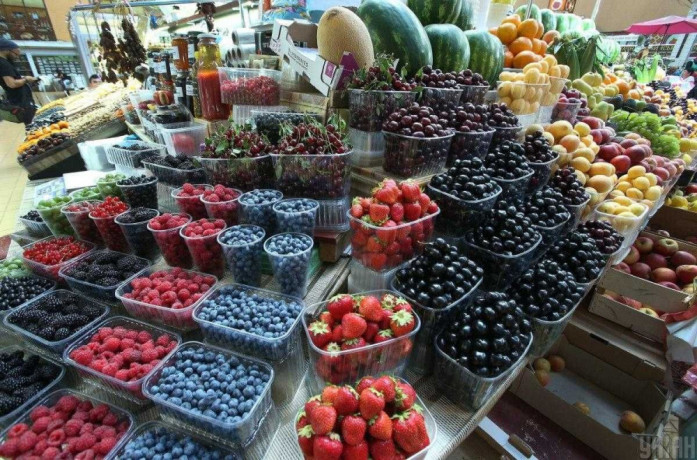 xolodilna-ta-morozilna-kameri-dlia-zamorozki-malini-i-sunici-big-0