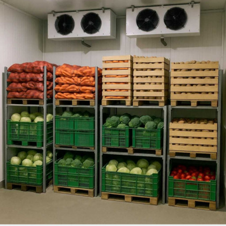 universalna-xolodilna-kamera-dlia-produktiv-10s10s-morozilka-big-0