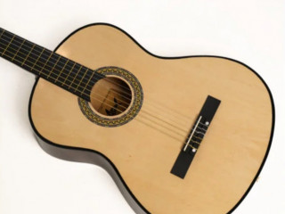 klasicna-gitara-shark-music-nova-vid-magazinu