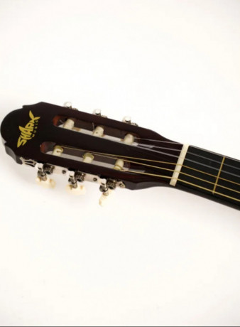 klasicna-gitara-shark-music-nova-vid-magazinu-big-1