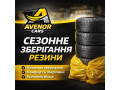 sto-varsava-ukrayinomovnii-avtoservis-avenor-cars-small-2