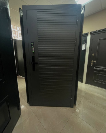 kupiti-vxidni-dveri-u-krivomu-rozi-big-1