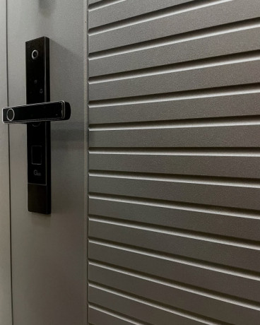 kupiti-vxidni-dveri-u-krivomu-rozi-big-0