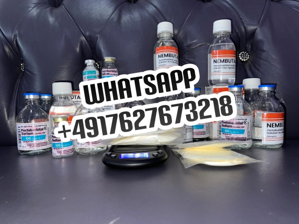 nembutal-sodium-pentobarbital-big-1