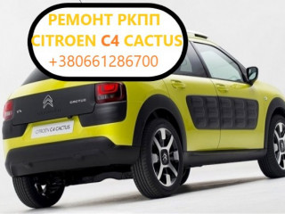 diagnostika-ta-remont-rkpp-citroen-c4-cactus-2231v2-2232w9-2461f2-259150-205314-mce-mcd