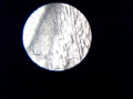mikroskop-naturalist-small-4