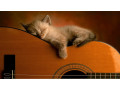 uroki-igry-na-gitare-v-odesse-small-0